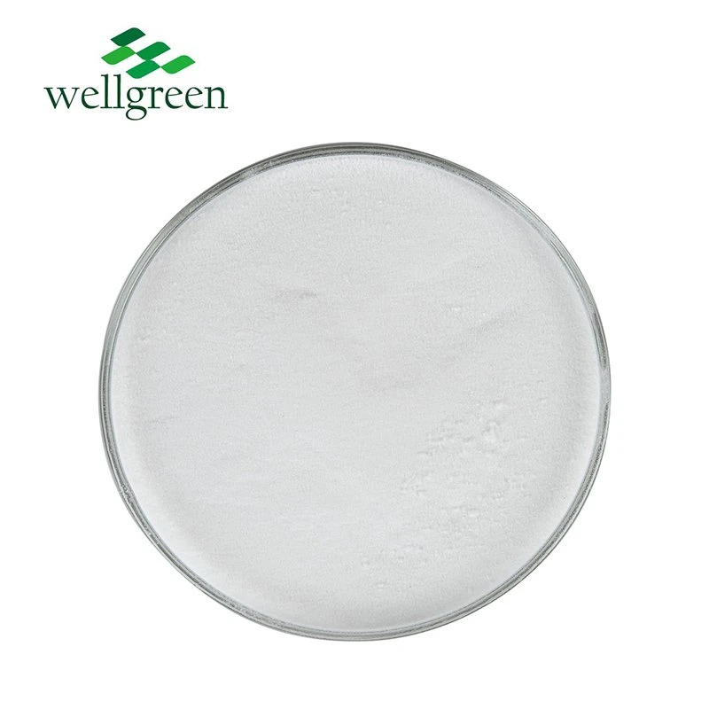 Wellgreen Bulk Quality Provide Sample Food Grade Essential Amino CAS 56-84-8 L-Aspartic Acid