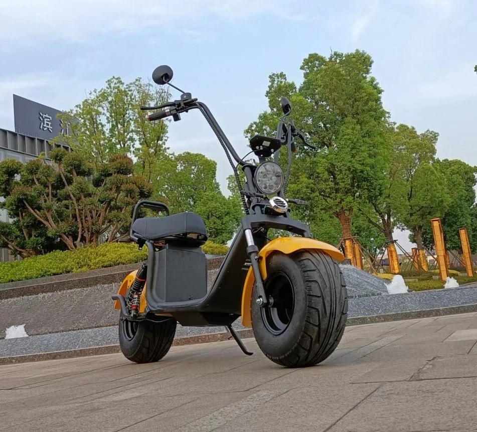 Popular 2 Wheel Fat Tire 2000W 60V CE Citycoco Electric Scooter