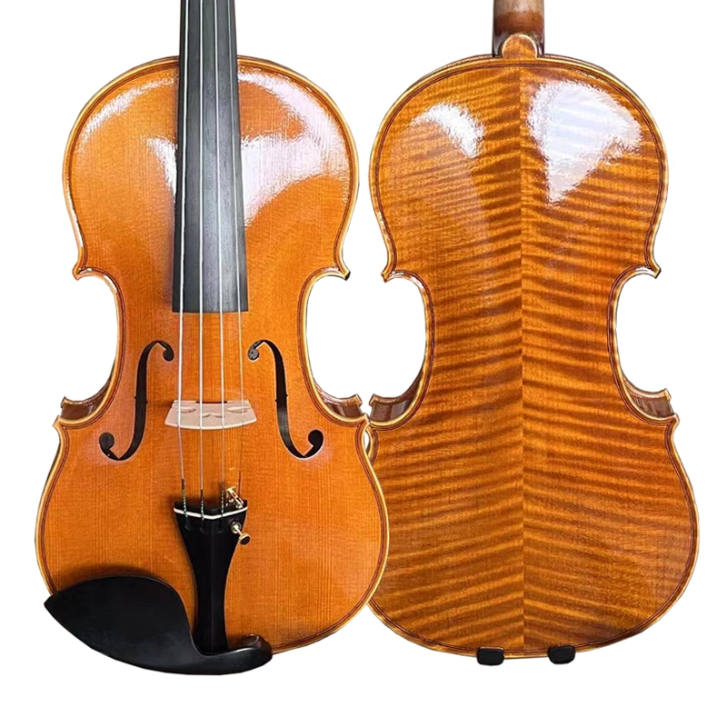 Sinomusik Full Handed Golden Orange Brown Violin Hv09g