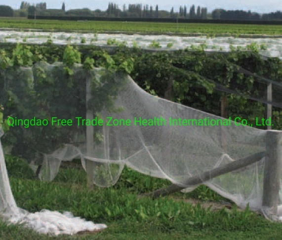 35GSM buena calidad Anti-Insect Net