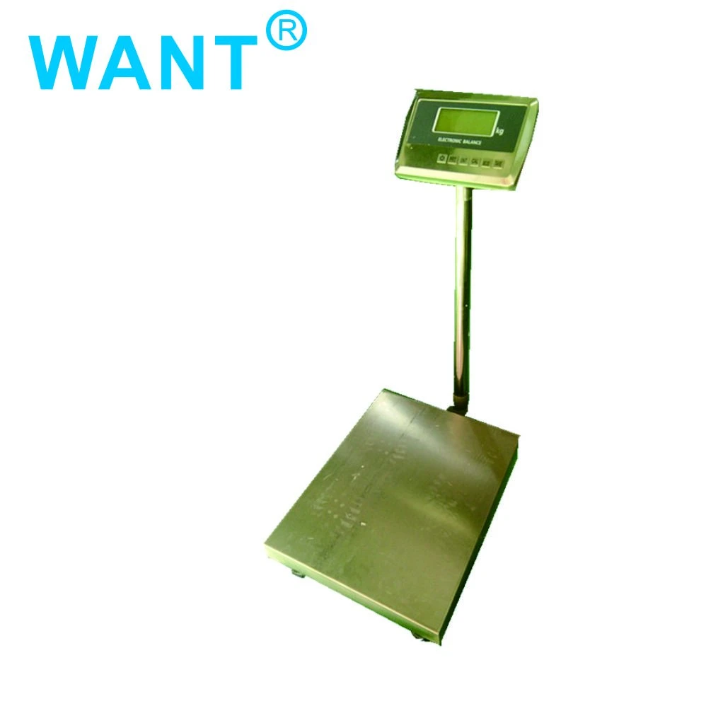 100g Accuracy and AC/DC Power Supply Platform Weighing Scale