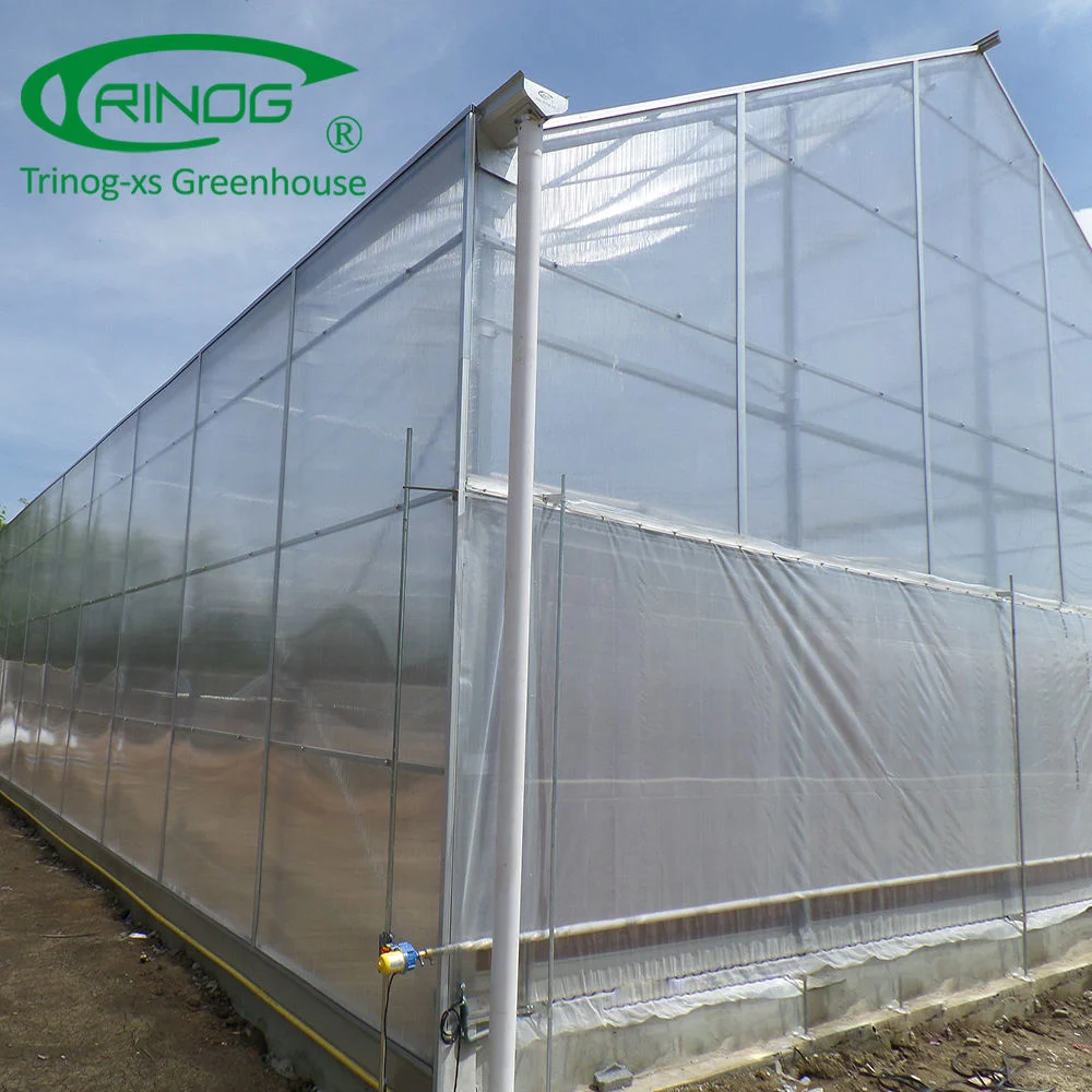 Single span PC panel greenhouse for research house