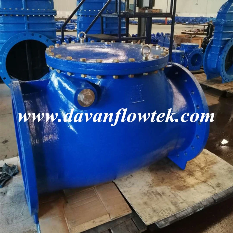 Cast Iron Gg25 DN100 Swing Check Valve Flanged Check Valve DIN/BS Standard Globe Valve Pn16 Metal Seat Gate Valve Original Factory Swing Check Valve