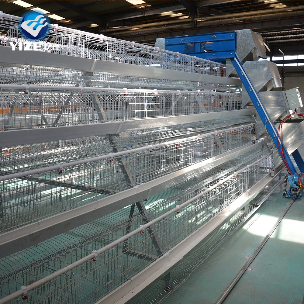 Battery Cages for Poultry Chicken Layer for Broilers and Baby Chicks