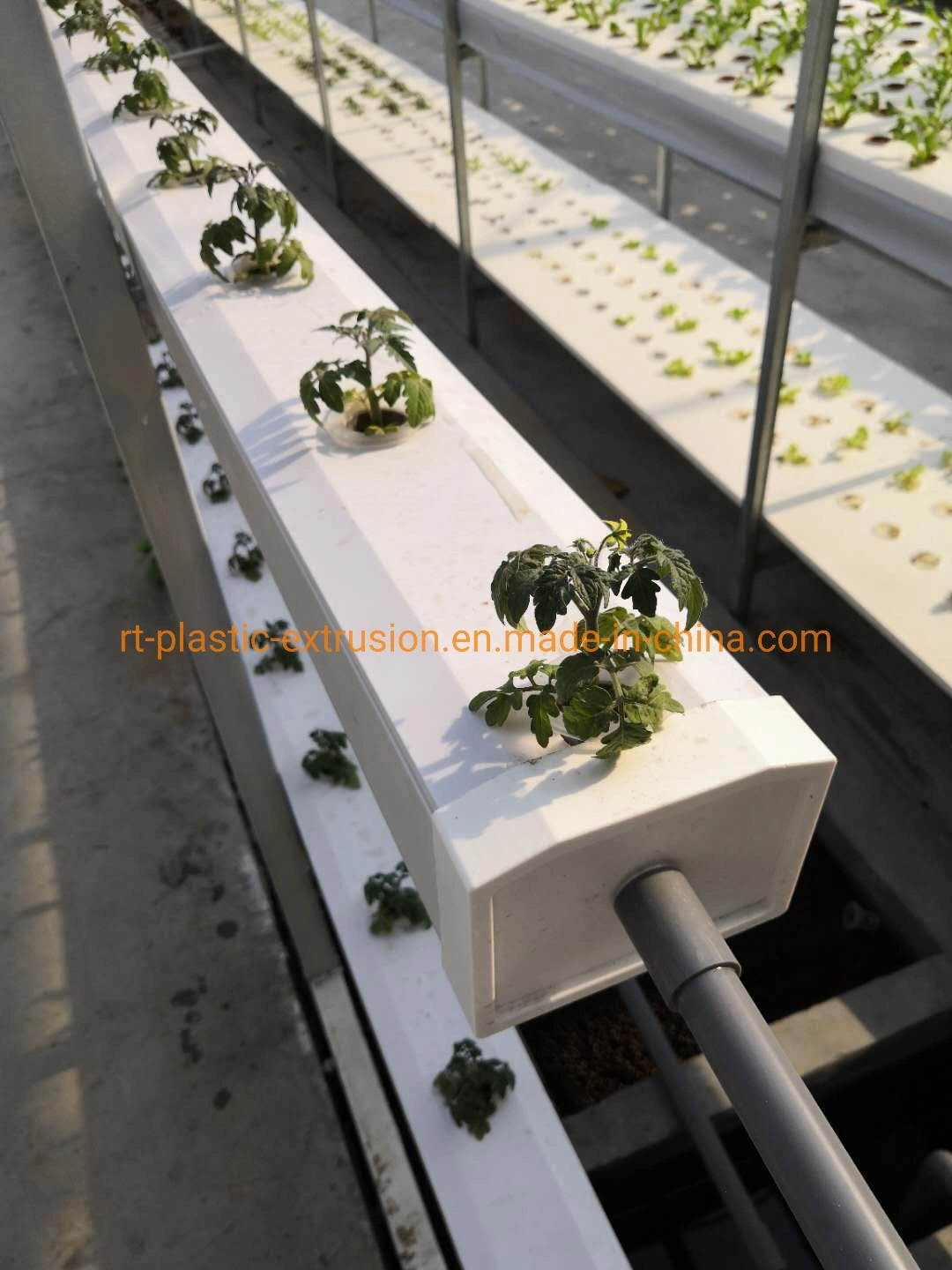 Substratanbaufläge für Gewächshausanpflanzung/NFT Hydroponics