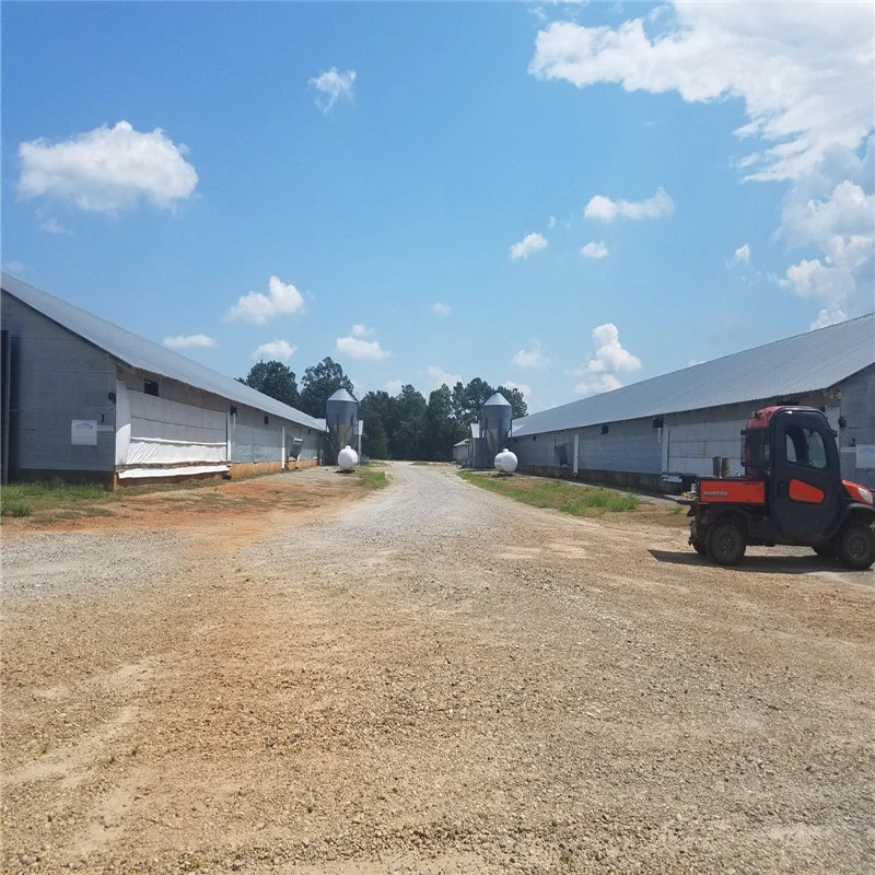 Agricultural Long Span Quick Installation Chicken Coop Equipment