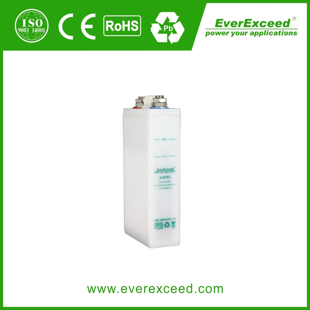 Everexceed Nickel Cadmium lange Lebensdauer-Speicherbatterie Wiederaufladbare NiCd-Batterie Paket