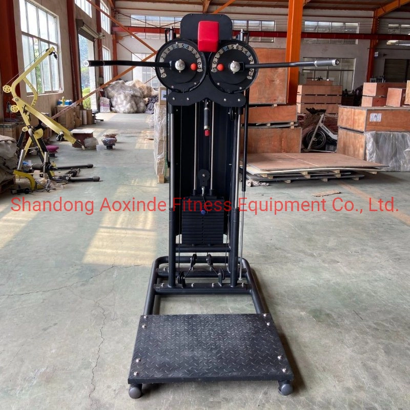 New Product Commercial Fitness Equipment Standing Multi Flight (AXD-Q01)