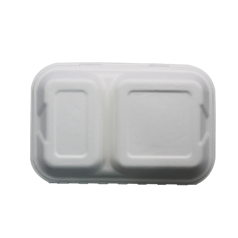 Biodégradable compostable jetable la bagasse de canne à sucre Fast Food Box Boîte à lunch