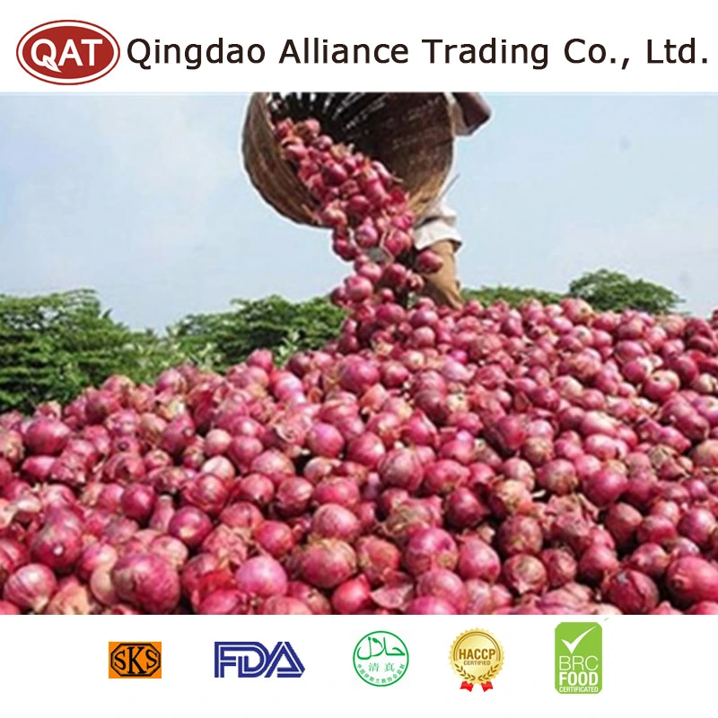 High quality/High cost performance  China Fresh Red Onion Pearl Onion para exportação