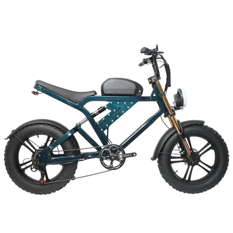 Super Fast 1000W Adult Electric Dirt Bike with Fat Tires Ebike