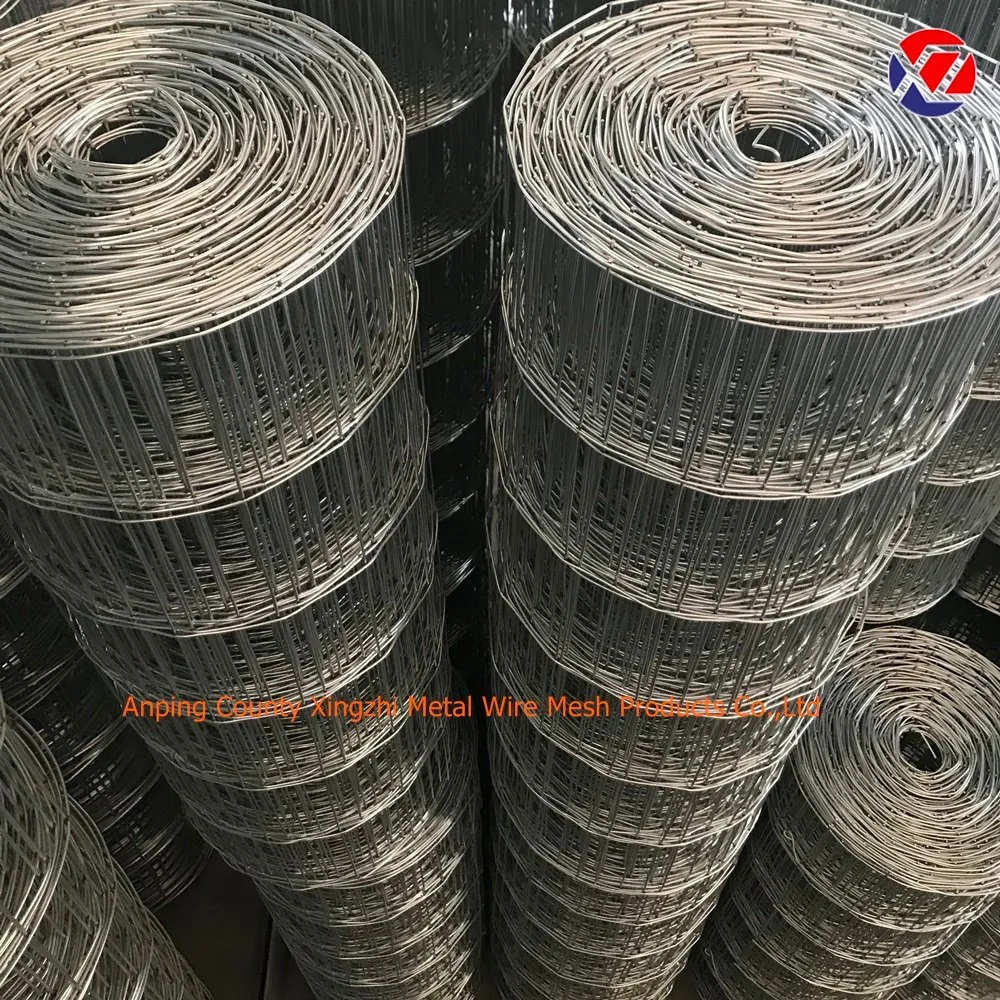 Galvanized Stainless Steel Welded Wire Mesh (Factory price)