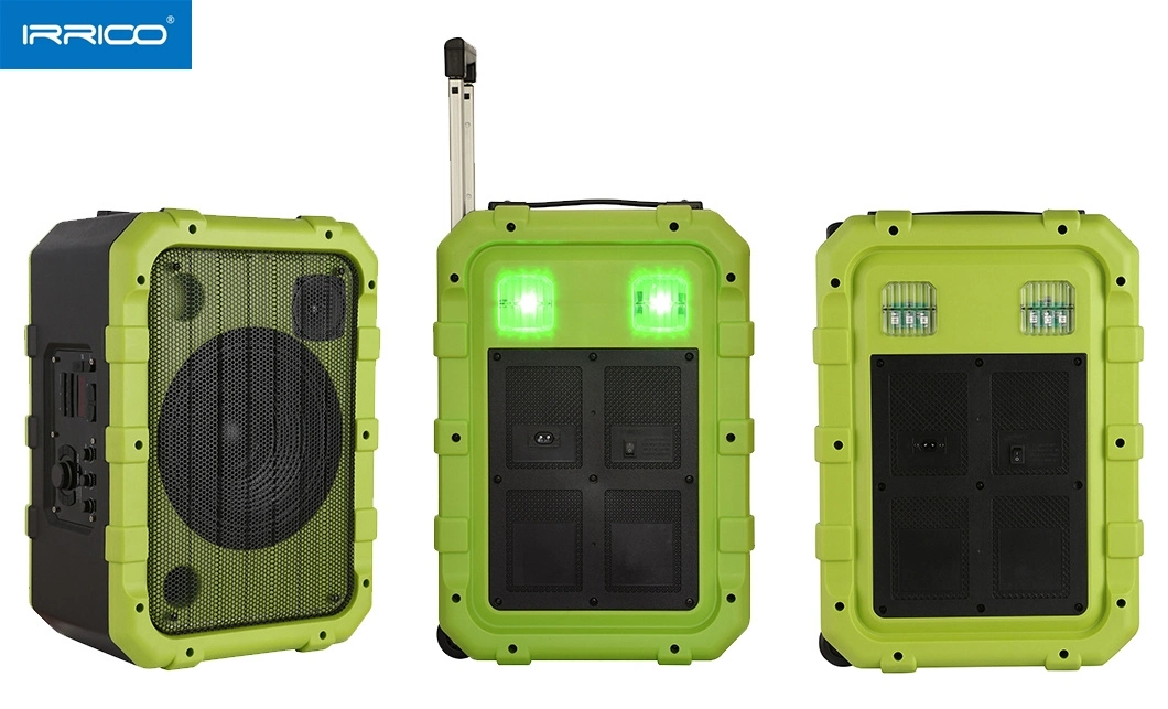 10 Inch Professional Mini Trolley Speaker Box Echo Function+EQ Function