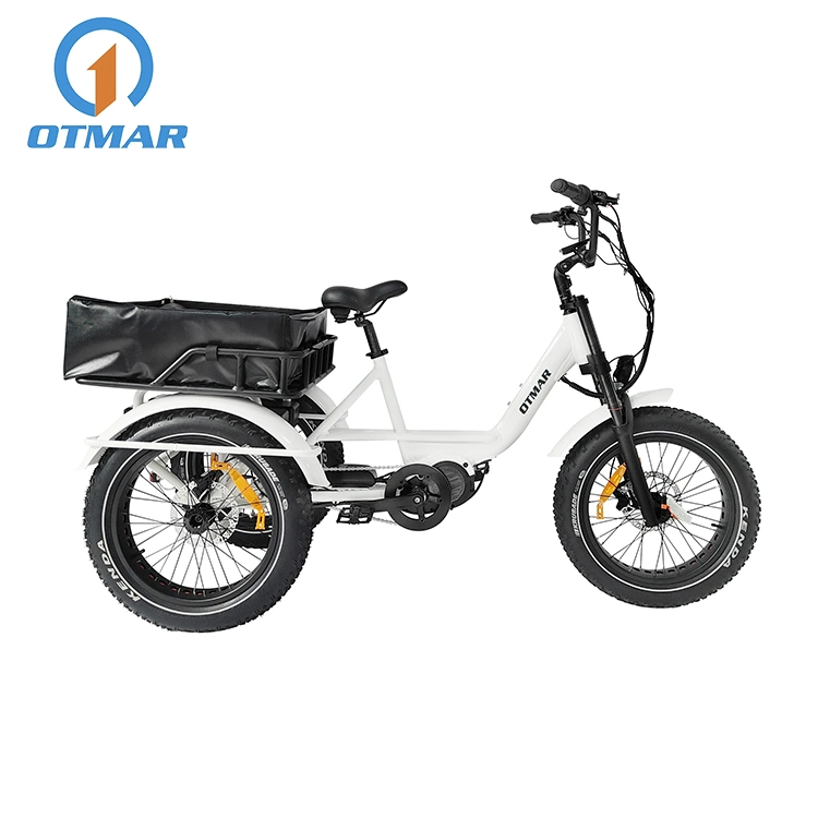 Tricycle électrique personnalisé à pneus larges de 20 pouces avec moteur central, 3 roues, double batterie, adapté pour la montagne, la neige, la plage et les adultes, de haute qualité