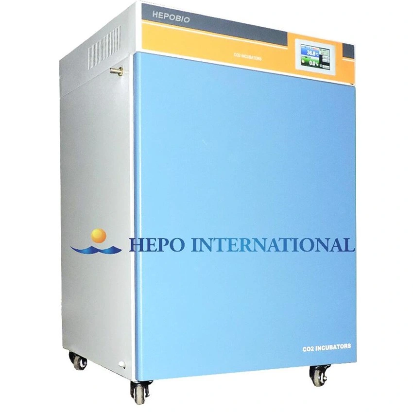 Carbon Dioxide Incubator CO2 Incubator with Factory Price