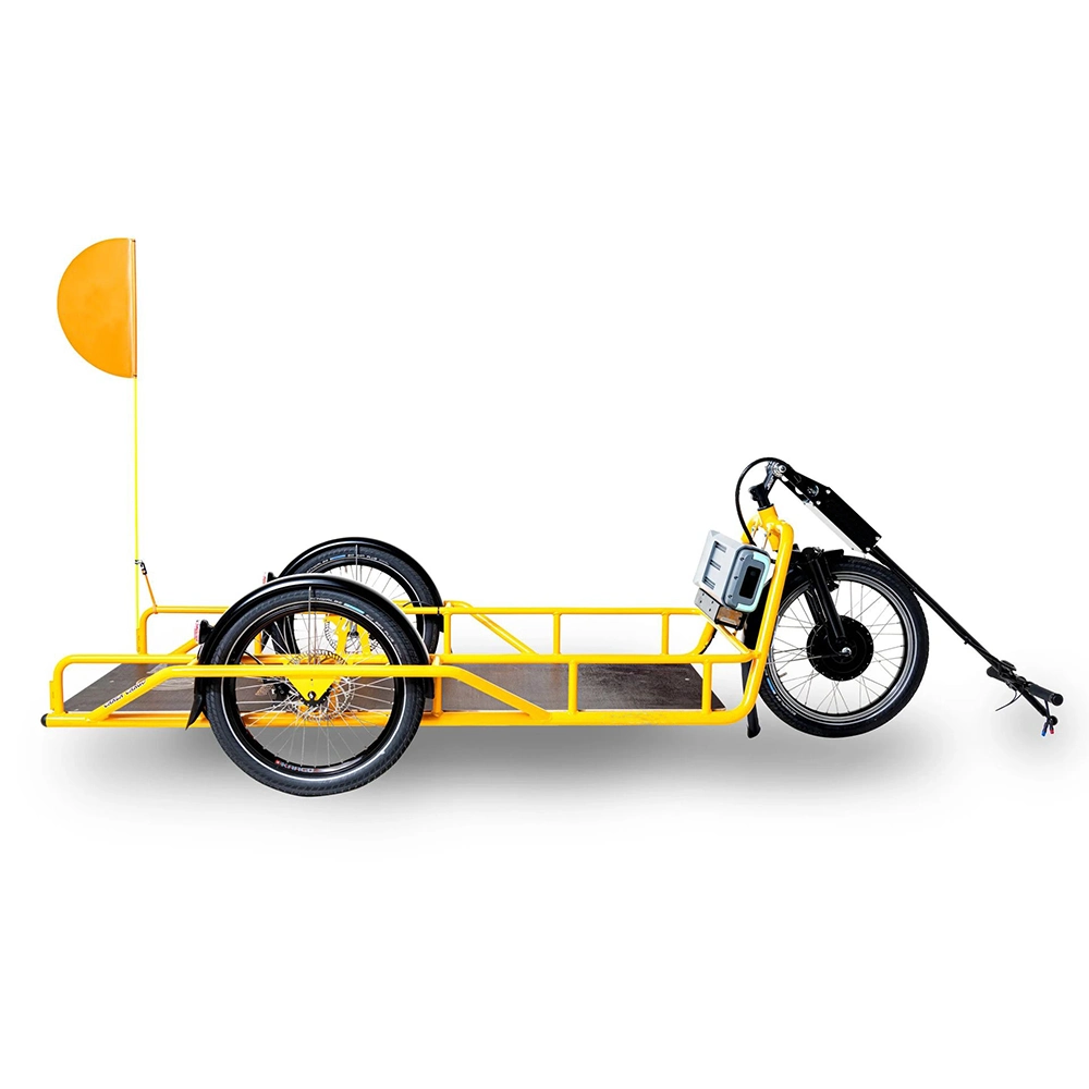 OEM Transporte al aire libre 200 Kg eBike cargo 20inch Fat Tire Remolque bicicleta remolque carga bicicleta remolque