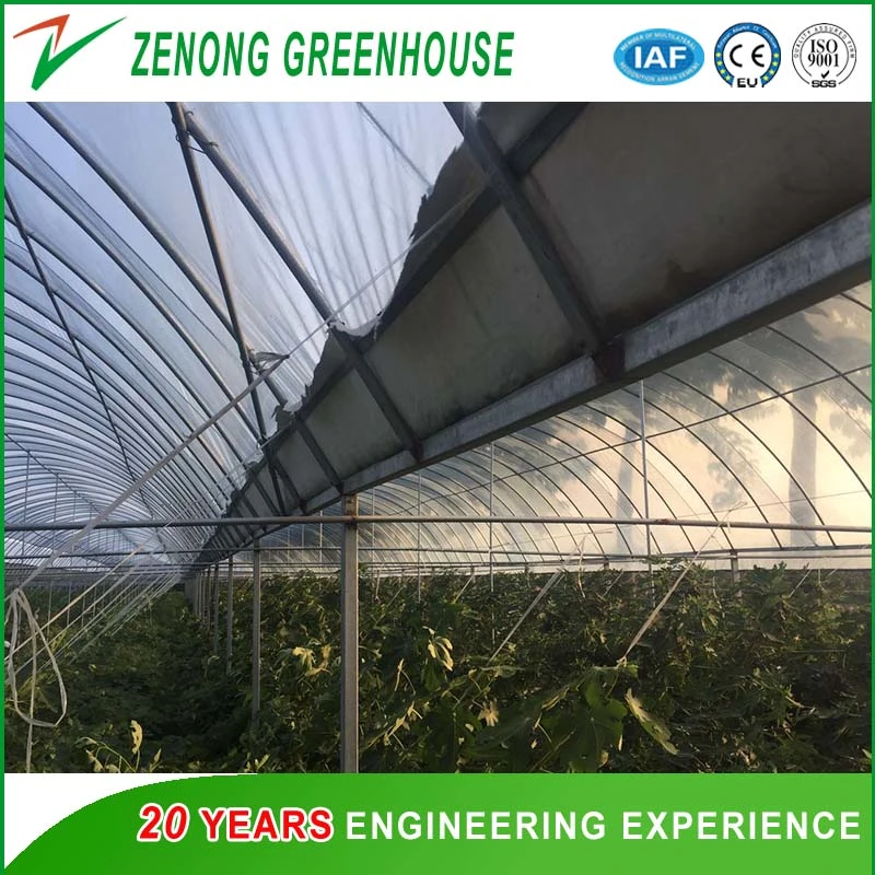 Poly-Tunnel Plastic Film Greenhouse with Ventilation Equipment