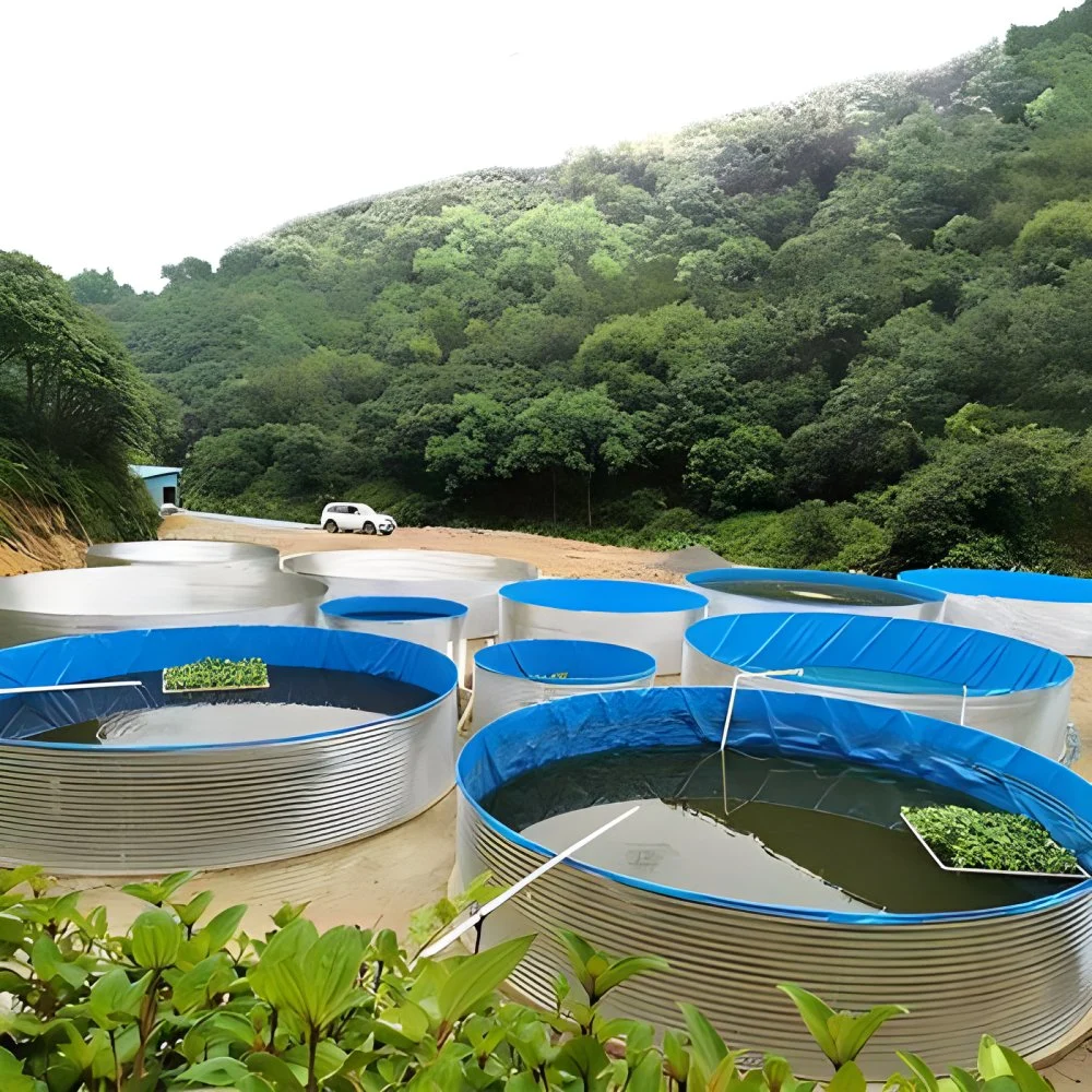 Wholesaler Hot Sale Large Ponds Plastic Fish Farming Tank