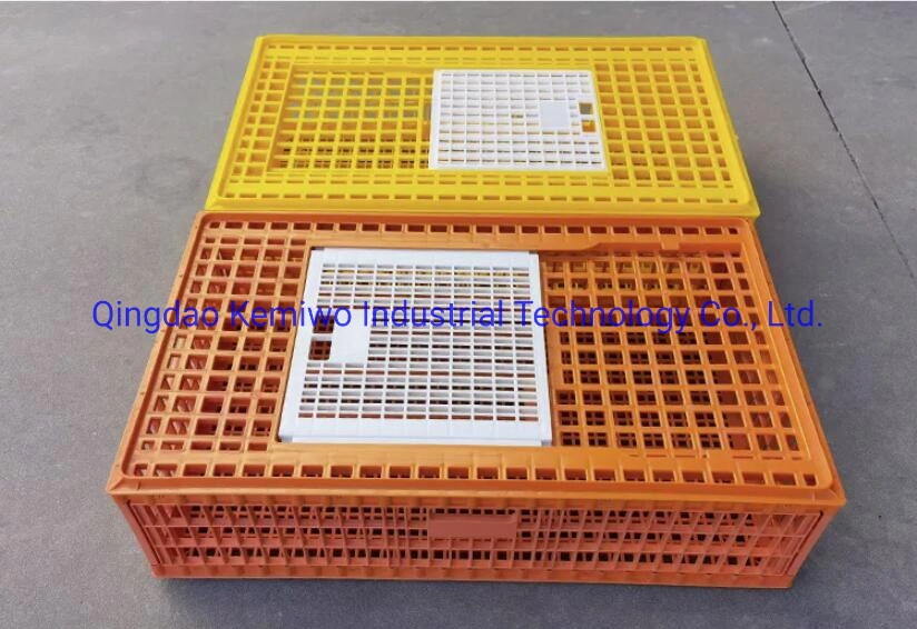 Plastic Poultry Transport Cage for Sale