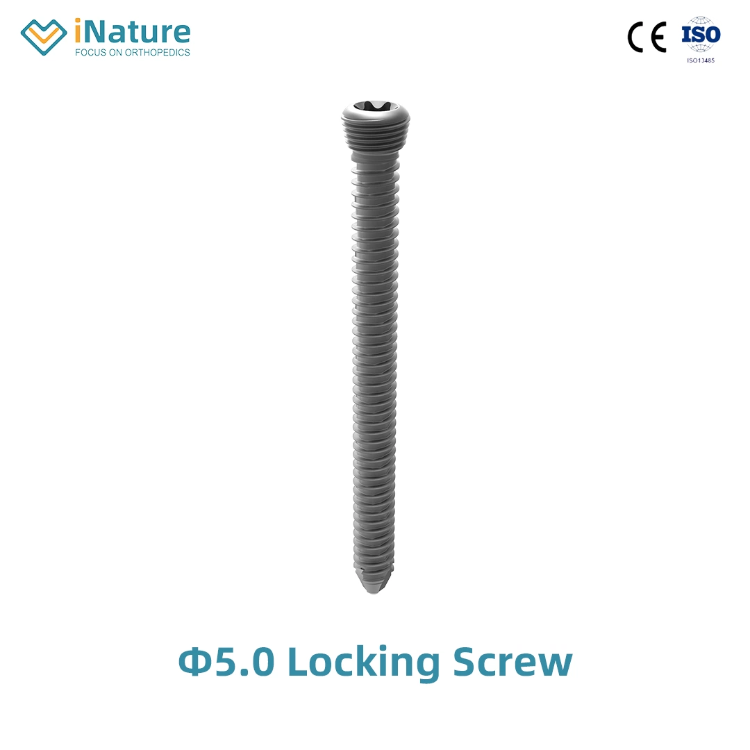 Top Quality Locking Screw Self-Tapping Orthopedic Screws