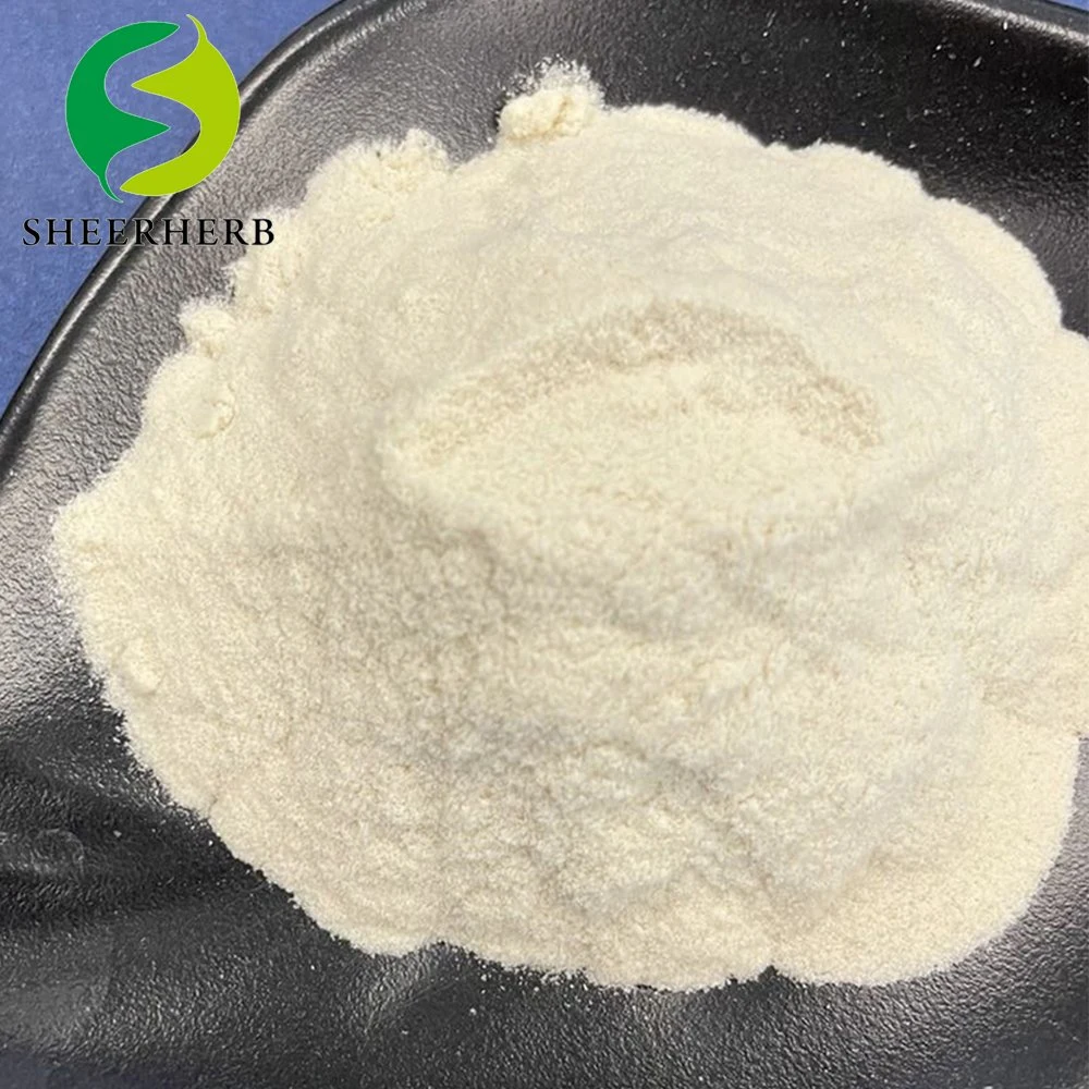 Factory Supply Nattokinase CAS 133876-92-3 Nattokinase Powder for Skincare