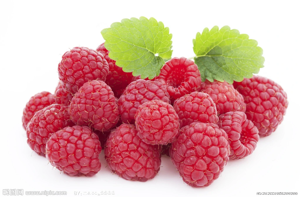 World Well-Being Food Additive Raspberry Extract 5% -98% Raspberry Ketone