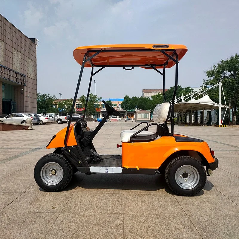 Factory Cheap Price 2 Seats 2 4 6 Seater Electric Golf Sightseeing Car