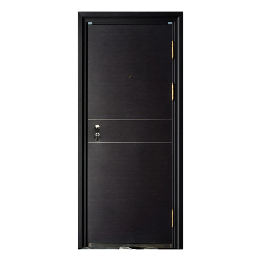 High Security Level Anti Theft Steel Security Door