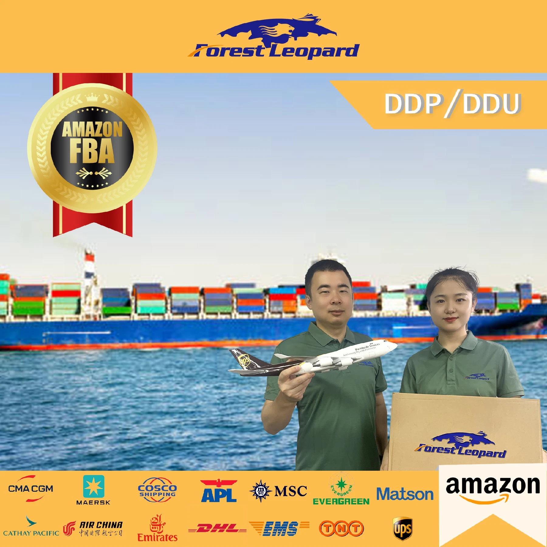 Freight Forwarder to USA/UK/Italy/France/Nl /Germany Fba Amazon by Air Freight Shipping From China DDP Door to Door Service