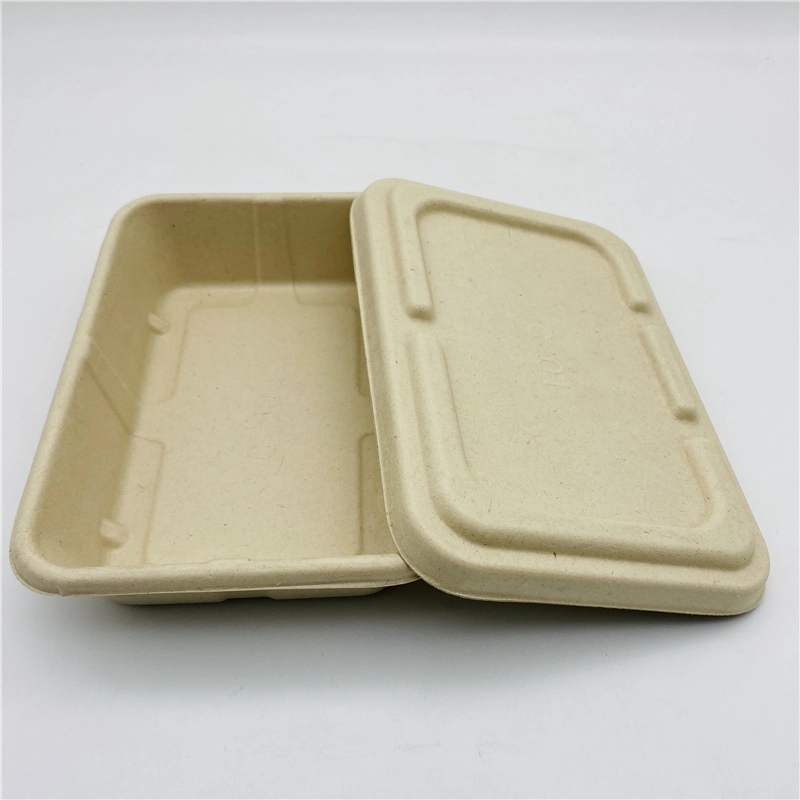 Caña de Azúcar biodegradables Clamshell Caja de comida para pasar el recipiente con tapa de bagazo /tapa de PP/PET tapa