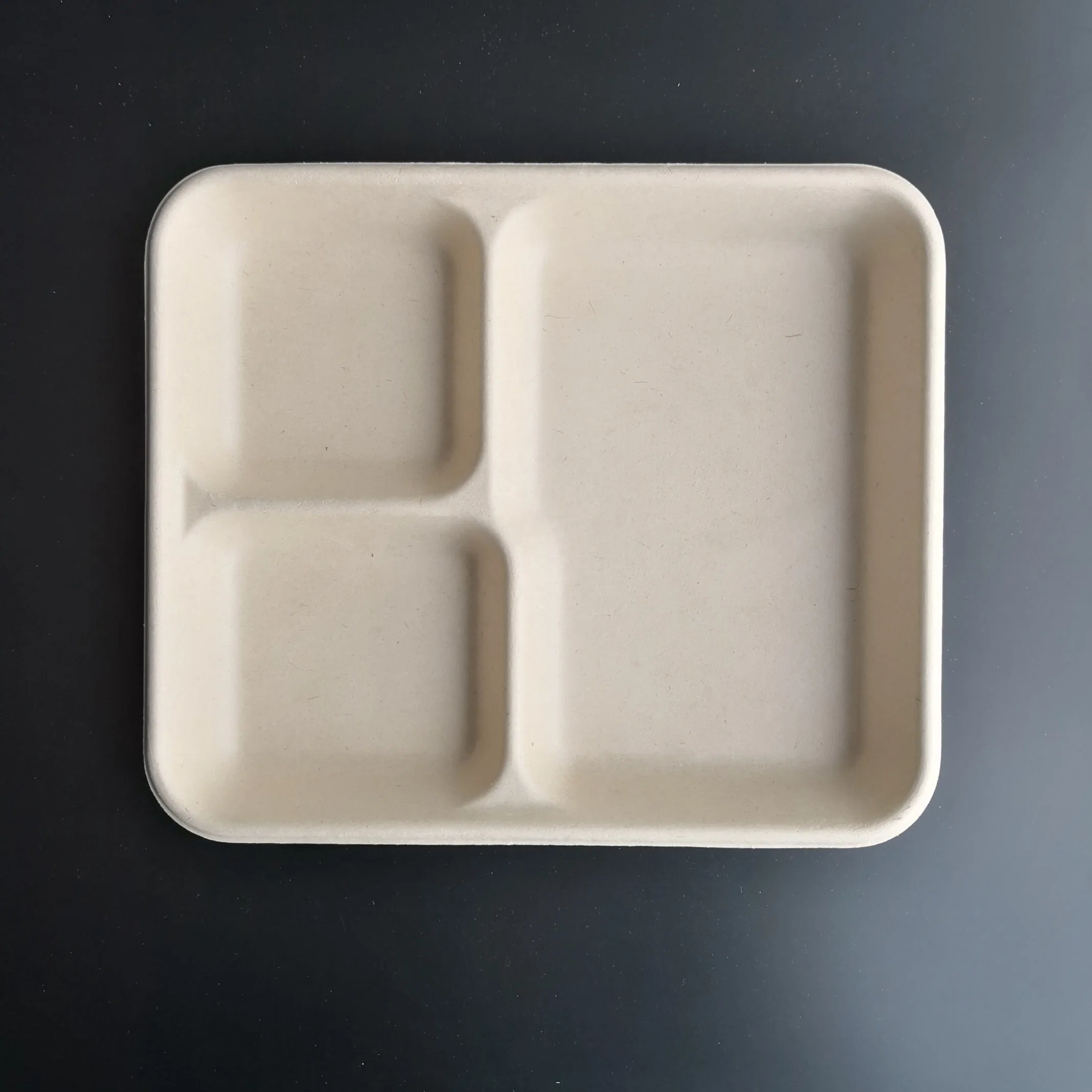 100% Biodegradable Disposable Sugarcane Bagasse 3 Compartment Food Safe Tableware Tray