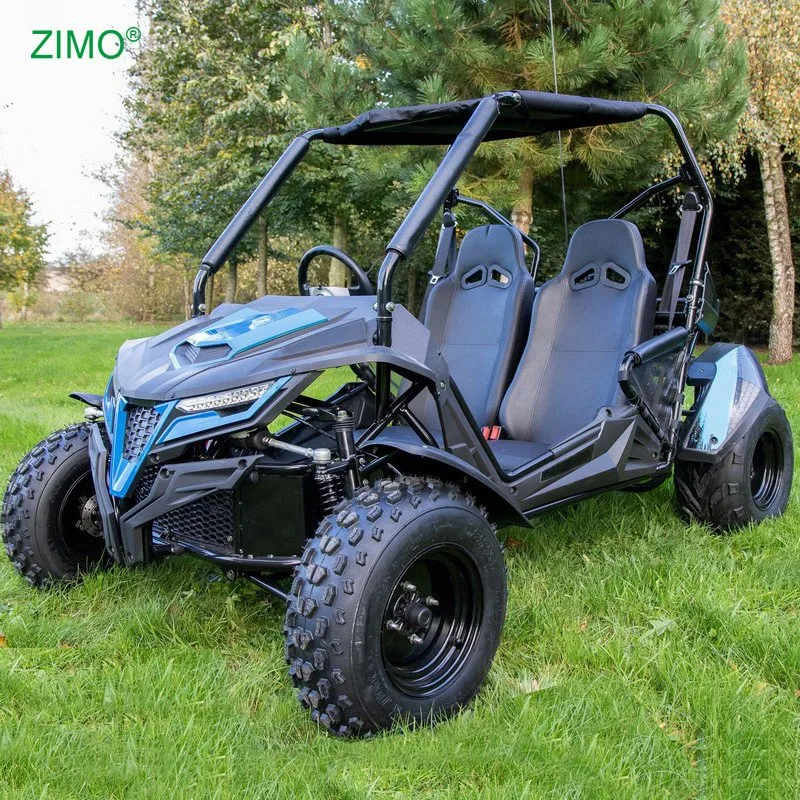 2 мест Off Road Buggy 200cc Dune Buggy Go Картс