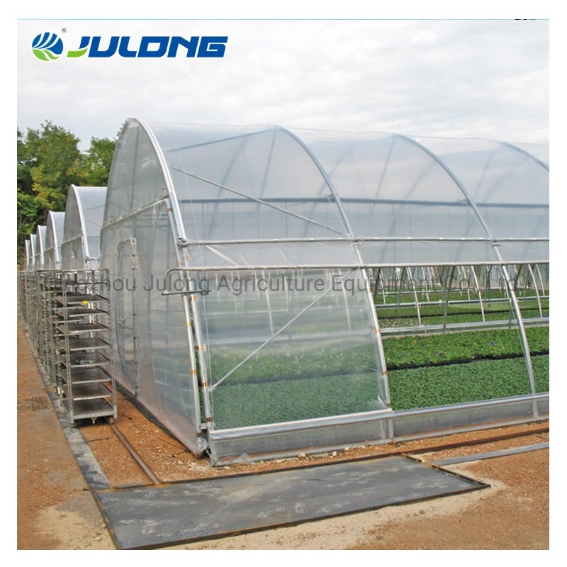 Petit jardin Tunnel agricole Single-Span Mini serre pour la vente de film