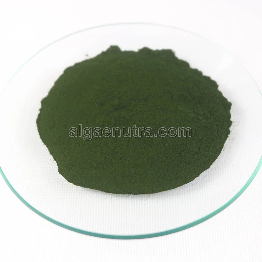 Puro verde Chlorella a granel en polvo de certificado de Materias Primas para la salud alimentaria
