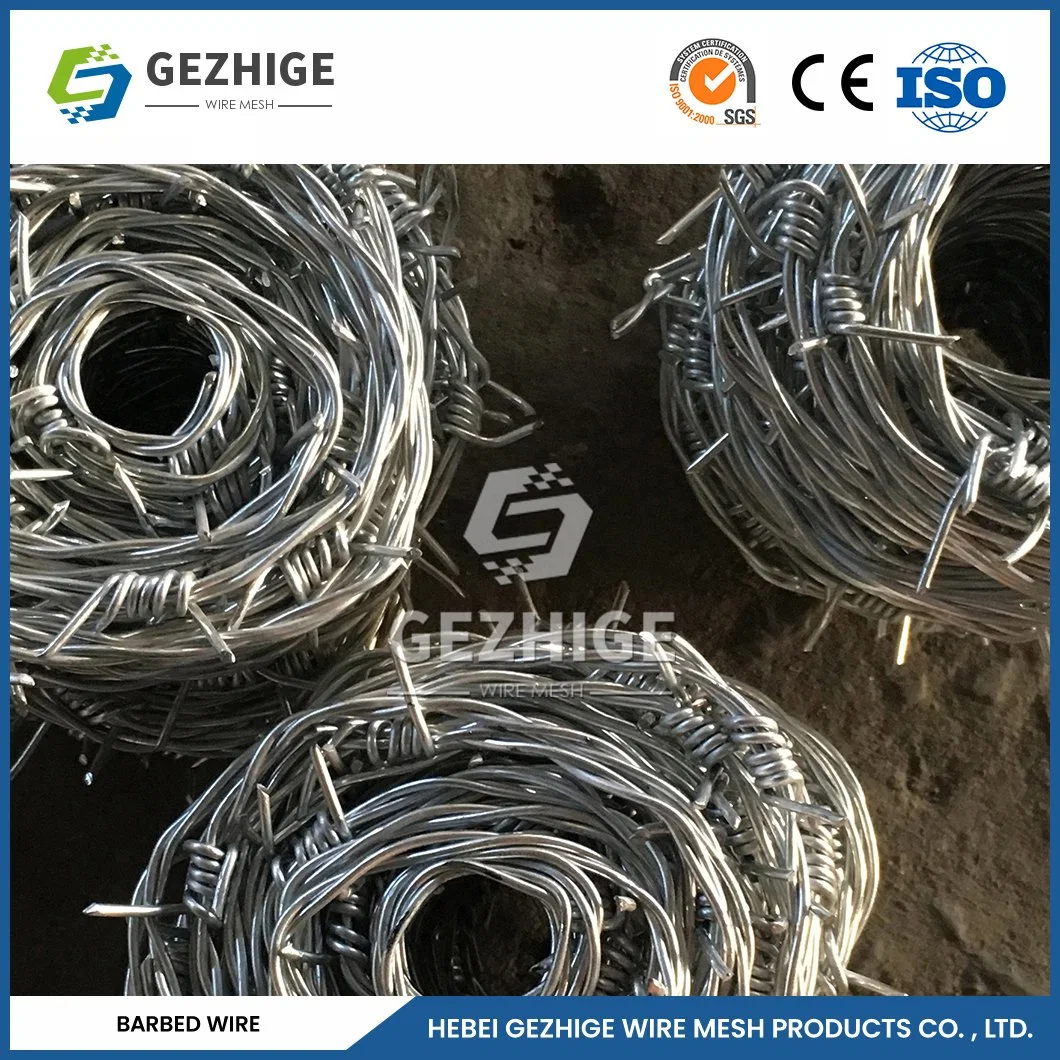 Gezhige 100m Barbed Wire Factory 65mm Barb Length 12 Swg Galvanized Barbed Wire China 8.1096 Stab Distance Chain Necklace Barbed Wire