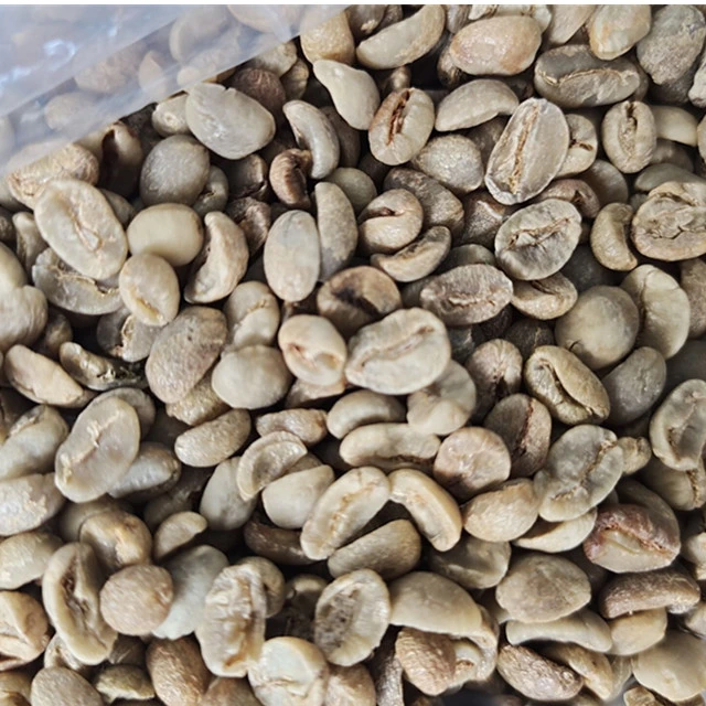 Chinese Arabica Coffee Beans Yunnan Origin Coffee Beans