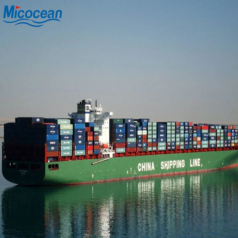 Fast Shipping Logistics Transportation Company Port to Port to San Antonio/Arica/Iquique