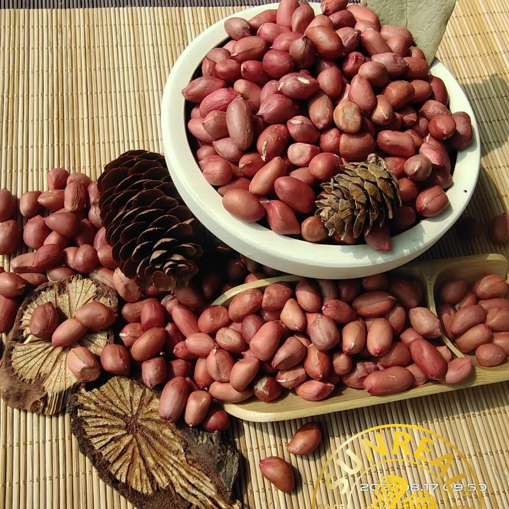 Roasted Peanut Kernels with Skin/Red Skin/Leisure Snacks/Superior Products