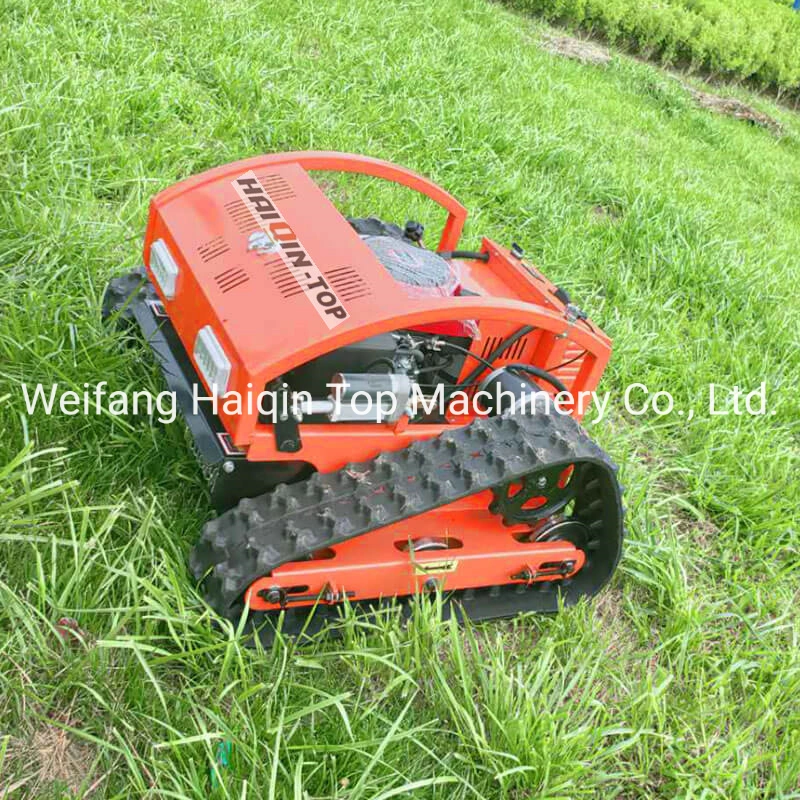 China Haiqintop Mini Control remoto RC Electrónica Transportador de césped con CE