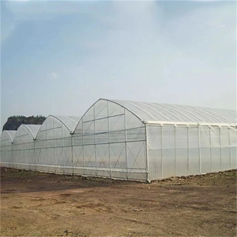 Estufa da película fina do sistema hydroponic do cultivo do jardim vegetal da venda quente