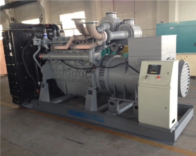 Professional Emergency Generator with Perkins