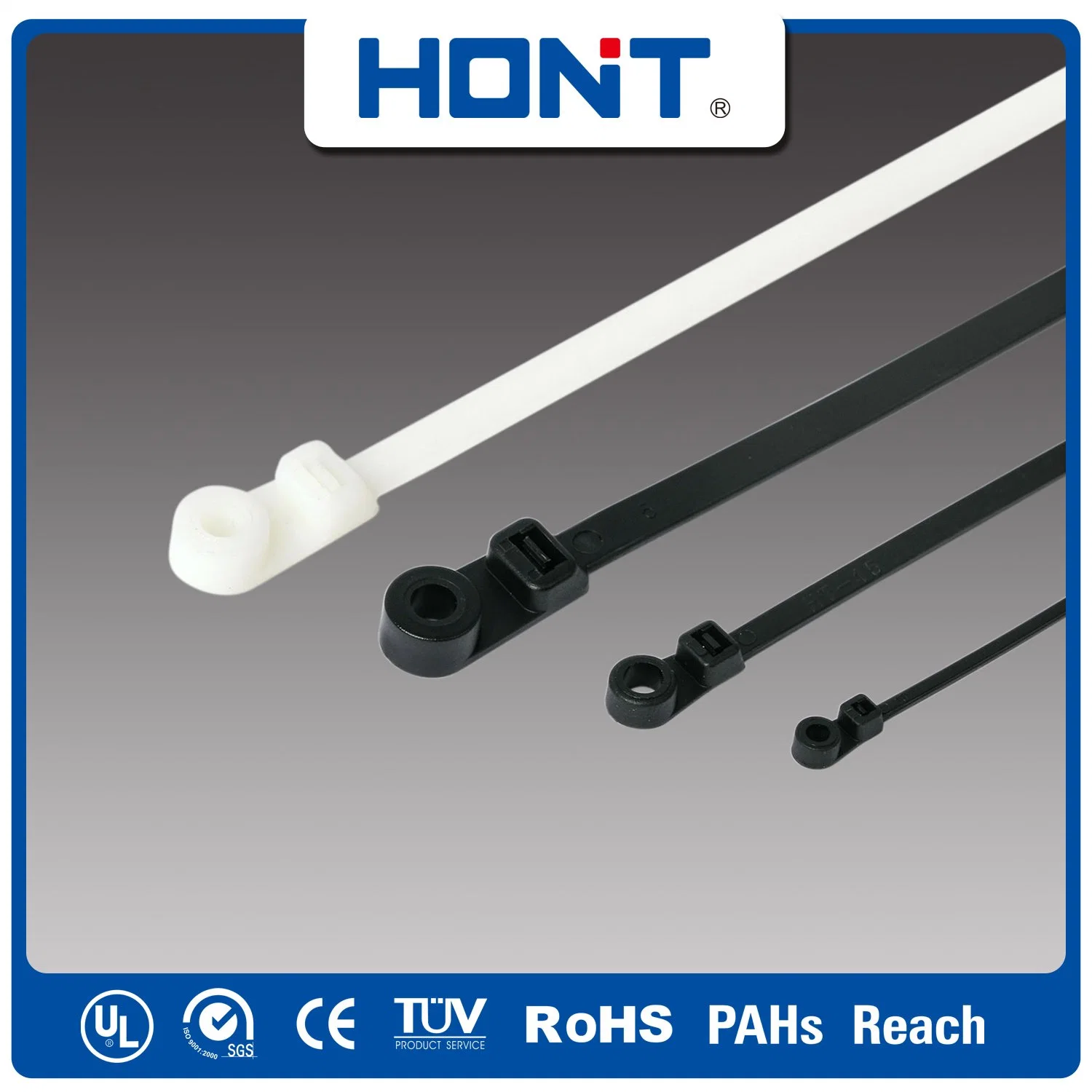 Mountable Head Self Locking Nylon Cable Ties with SGS