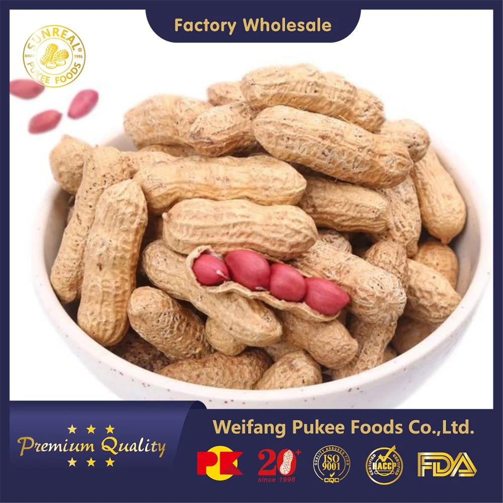 Roasted Peanut in Shell/Red Skin Peanut in Shell/Premium Quality From China