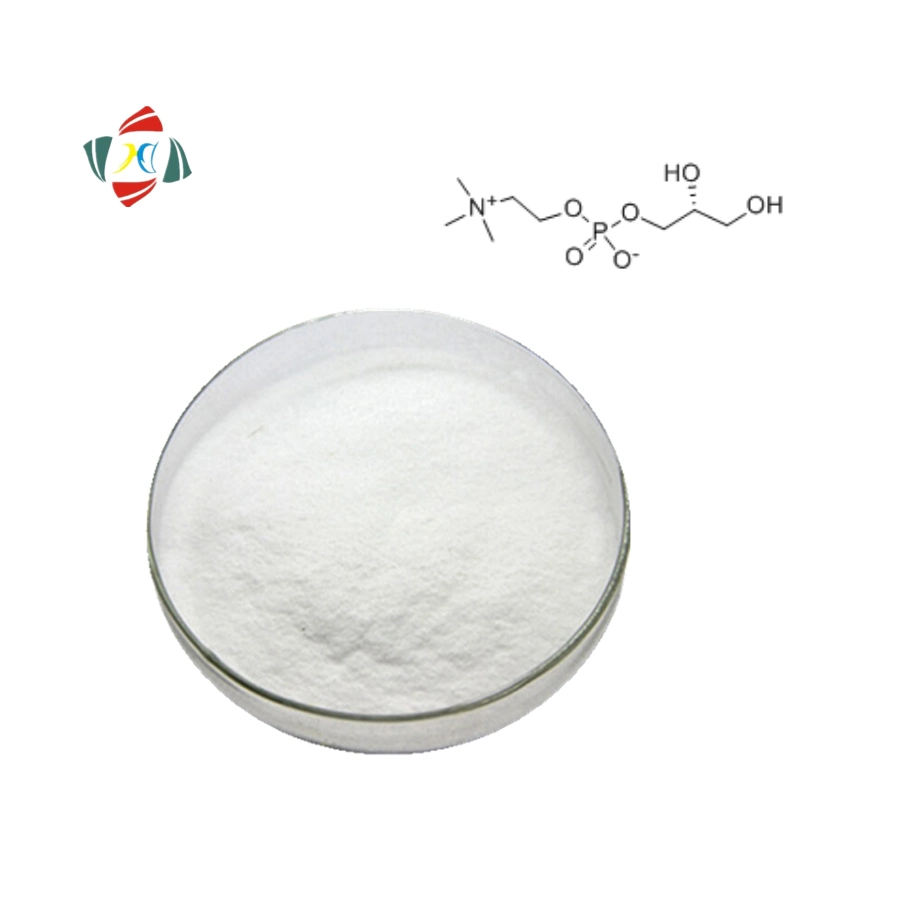 Wuhan Hhd GMP Pharmaceutical Grade 99% Alpha GPC Powder Bulk Supply Nootropic Powder Alpha GPC 99% CAS 28319-77-9 Glycerophosphorylcholine