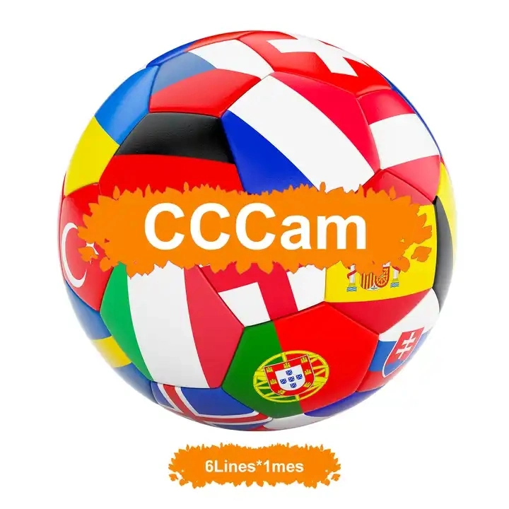 Egygold Cccam Clines para Europa España Portugal Polonia Oscam Alemania 7  líneas de receptor de TV por satélite - China Cccam, Cccams Cccam