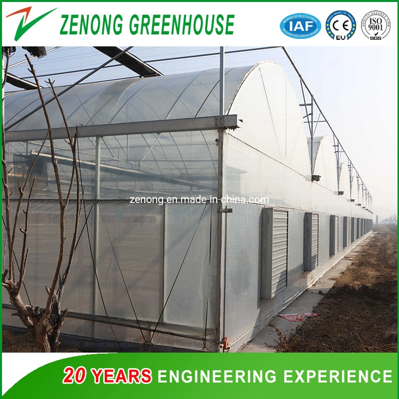 Agricultural/Commercial/Poultry /Garden Multi- Span Poly Film/Po/PE/PC/Glass/ Film Covered Greenhouse for Vegetable /Tomatoes/Cucumber/Peppers/Strawberry