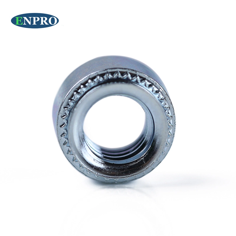 S SL High quality/High cost performance  Galvanized Cold Heading Self Clinching Nut Locking Nuts for Panel Fasteners M2 M2.5 M3 M4 M5 M6 M8 M10 M12