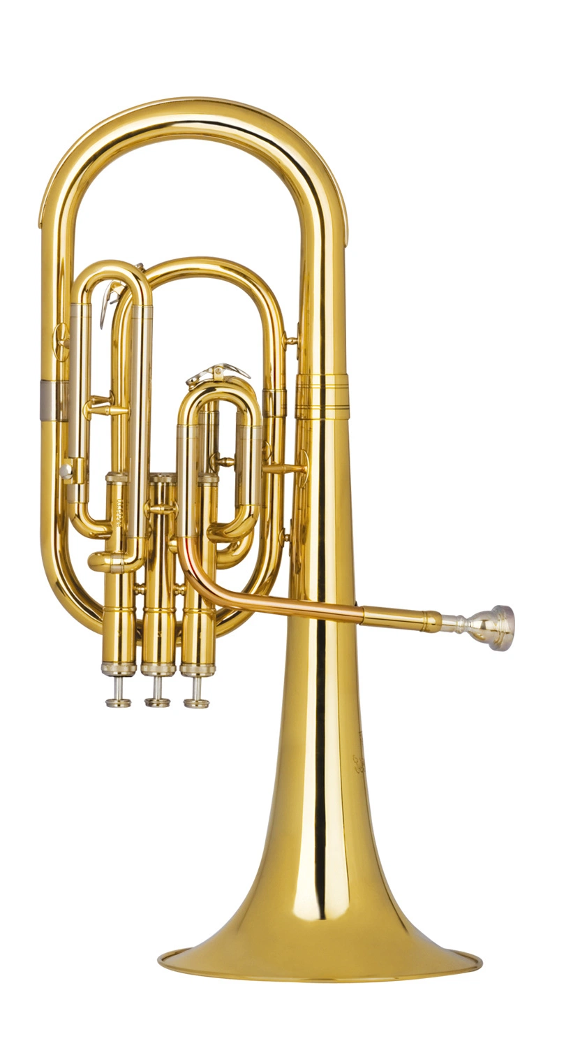 Euphonium Entry Model Manufacturer Good Quality