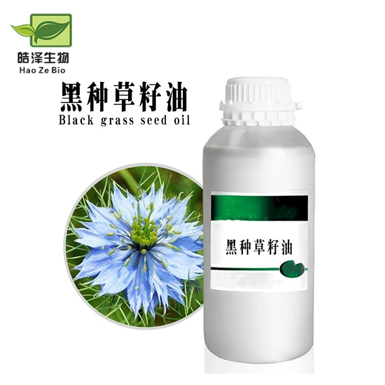 Factory Black Cumin Seed Oil Bulk Black Seed Oil for Hair Growth Black Seed Oil