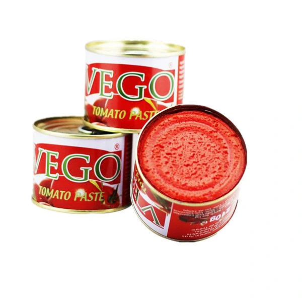 Double Concentrated 210 Gram Canned Tomato Paste Manufacturer